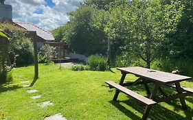 Quirky Cottage With Private Garden Nr New Quay Cardigan Bay